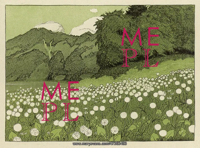 : MEADOW IN SUMMER 1904 : MEADOW IN SUMMER 1904