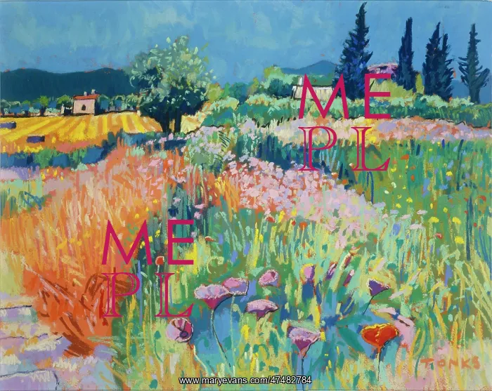 : Meadows near Campanet : Meadows near Campanet
