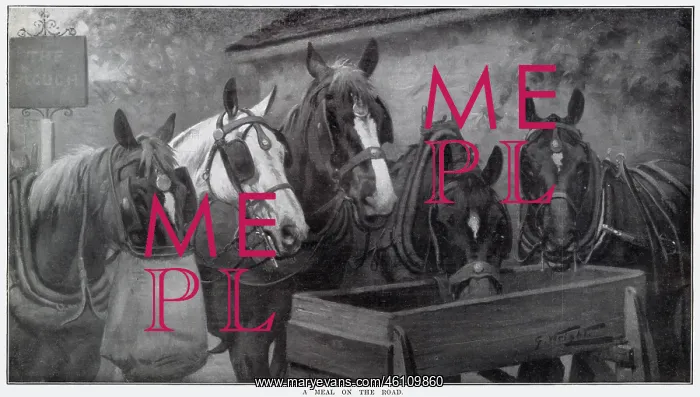 : Meal on the Road 1910 : Meal on the Road 1910