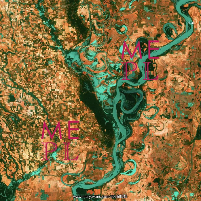 : The Meandering Mississippi : The Meandering Mississippi