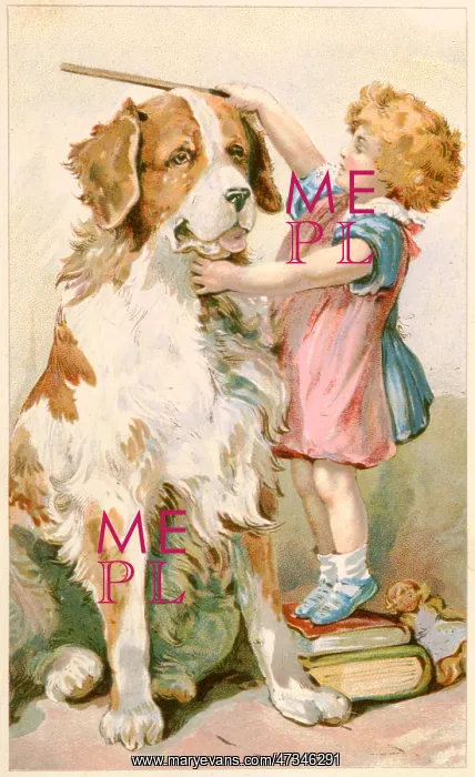 : MEASURING ST BERNARD : MEASURING ST BERNARD