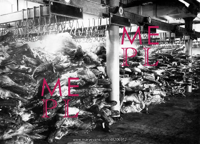 : Meat in a cold room in Berlin, 1916 : Meat in a cold room in Berlin, 1916