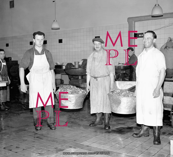  : Meat factory