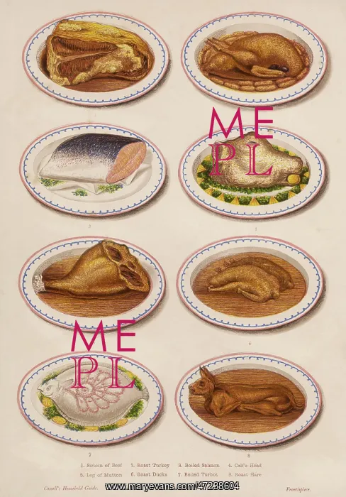 : MEAT AND FISH DISHES : MEAT AND FISH DISHES