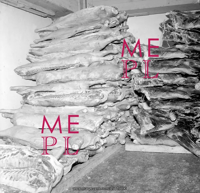  : Meat freezer