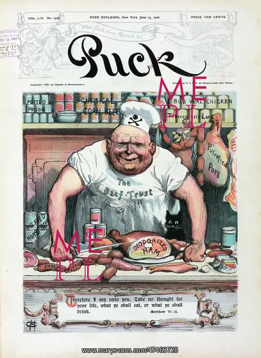 : The meat market : The meat market