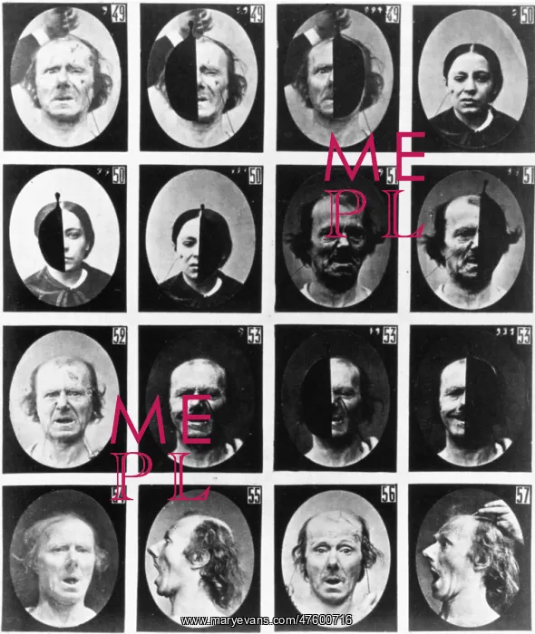 : Mechanism of Human Physiognomy : Mechanism of Human Physiognomy
