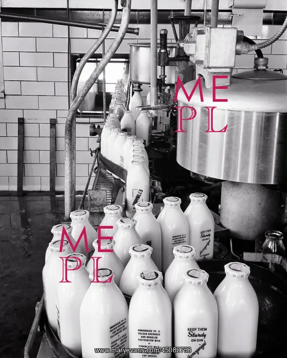 : Mechanized Food Processing Glass Bottles Filled : Mechanized Food Processing Glass Bottles Filled