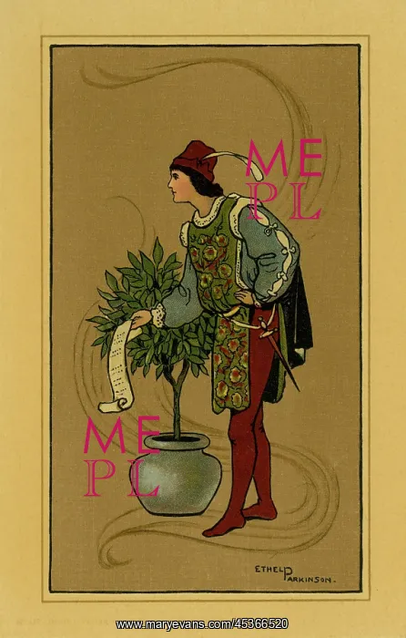 : Medaeval gentleman : Medaeval gentleman