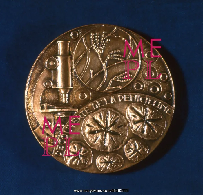 : Medal commemorating the discovery of penicillin : Medal commemorating the discovery of penicillin
