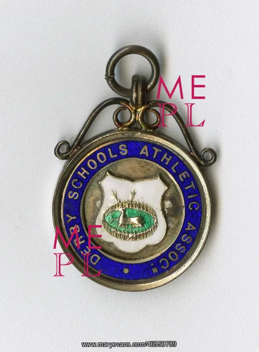: Medal, Derby Schools Athletic Association : Medal, Derby Schools Athletic Association