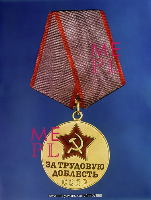 : Medal For Labour Valour, 1973 : Medal For Labour Valour, 1973