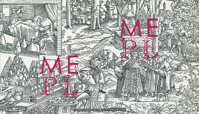 : Medical Herb Cultivation, 16th Century : Medical Herb Cultivation, 16th Century