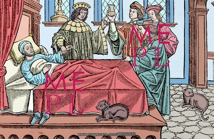 : Medical History. Doctors with a patient. Engraving. 16th cen : Medical History. Doctors with a patient. Engraving. 16th cen