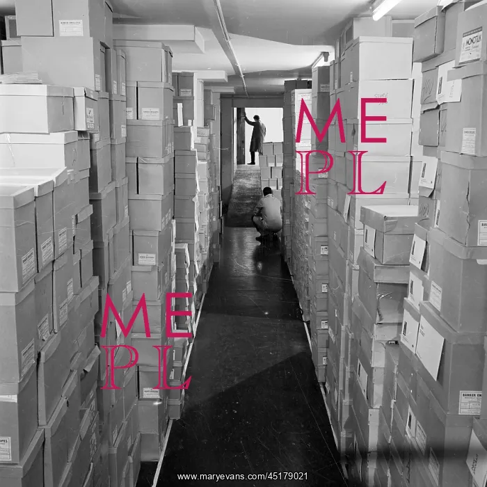 : MEDICAL MAILING COMPANY : MEDICAL MAILING COMPANY