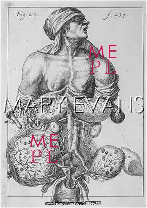 : MEDICAL / SURGERY C17 : MEDICAL / SURGERY C17