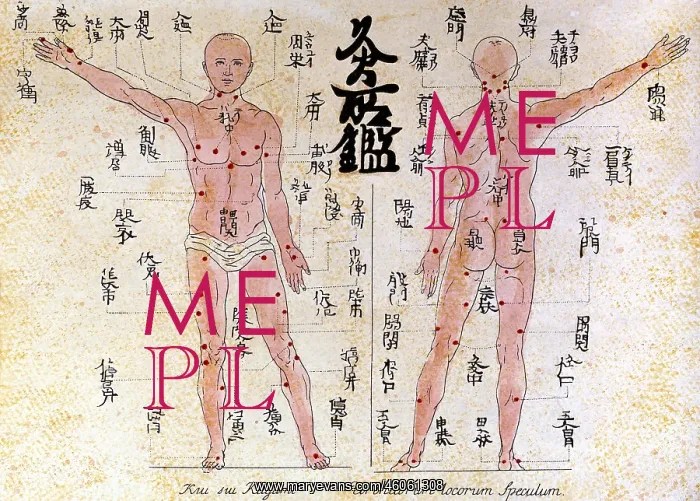 : medicine, acupuncture, plate with acupuncture : medicine, acupuncture, plate with acupuncture