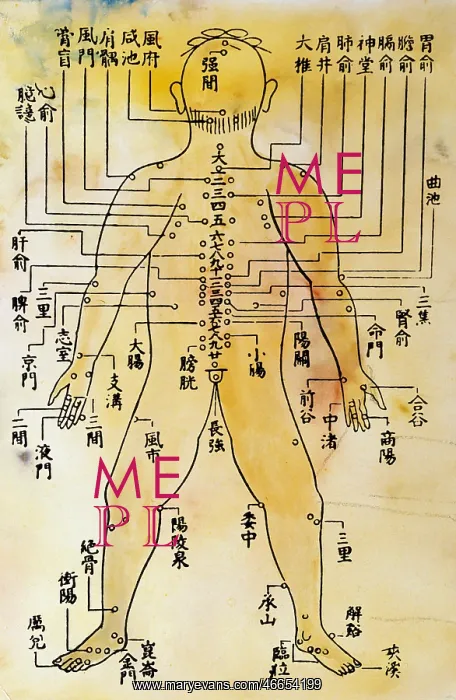 : medicine, acupuncture, plate with acupuncture : medicine, acupuncture, plate with acupuncture