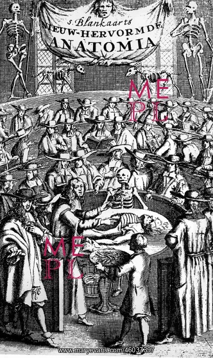 : medicine, anatomy, anatomic lesson, copper engraving : medicine, anatomy, anatomic lesson, copper engraving