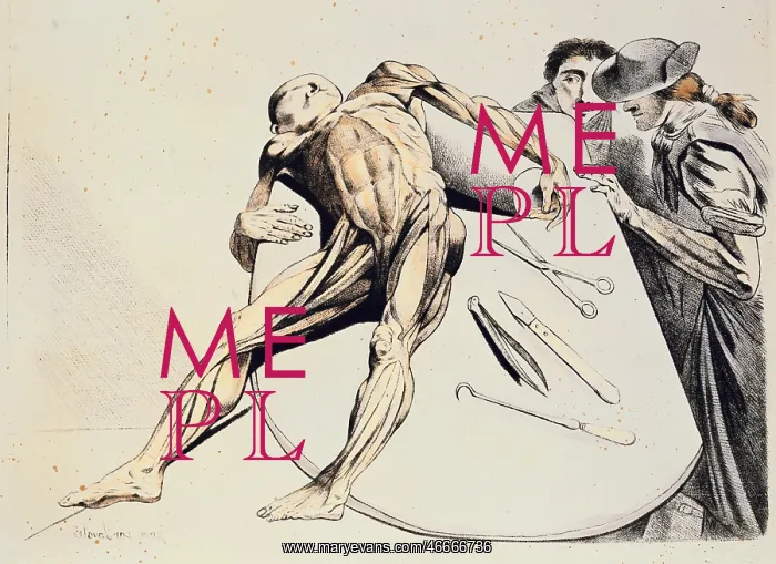 : medicine, anatomy, corpse on the dissecting table : medicine, anatomy, corpse on the dissecting table