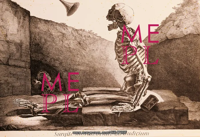 : medicine, anatomy, sitting skeleton in a grave : medicine, anatomy, sitting skeleton in a grave