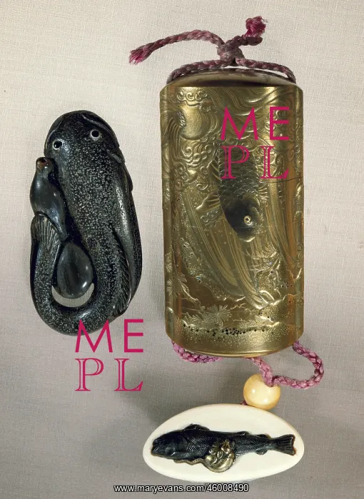 : Medicine Box : Medicine Box