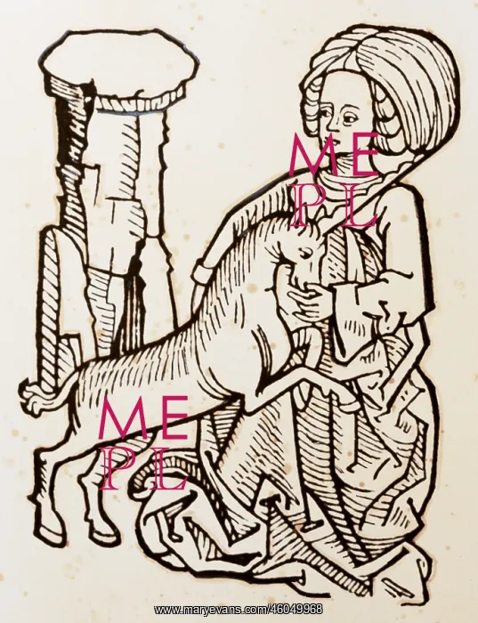 : medicine, pharmacy, Virgin with the Unicorn : medicine, pharmacy, Virgin with the Unicorn