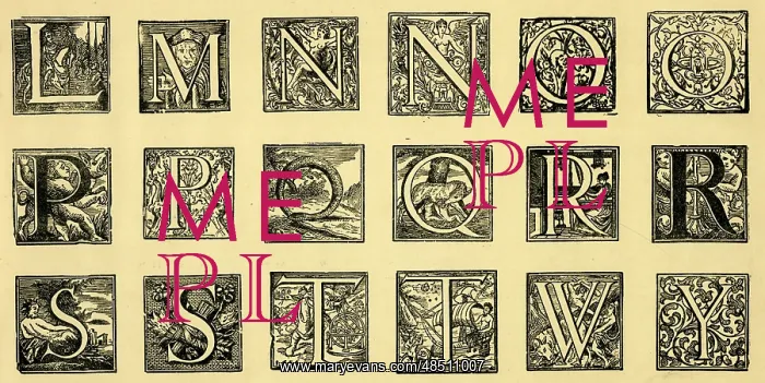 : Medieval alphabet, ornate initials L-Y