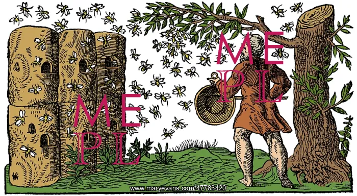 : Medieval Apiary : Medieval Apiary