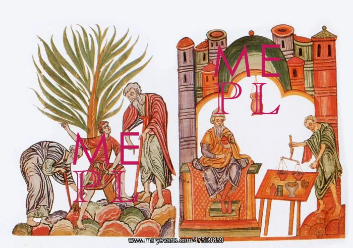  : Medieval Arabic Pharmacists