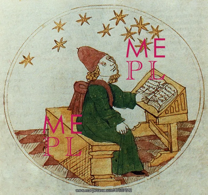 : Medieval Astrologer : Medieval Astrologer