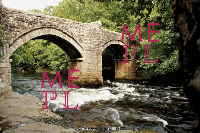 : Medieval bridge over the River Dart at Newbridge, Devon : Medieval bridge over the River Dart at Newbridge, Devon