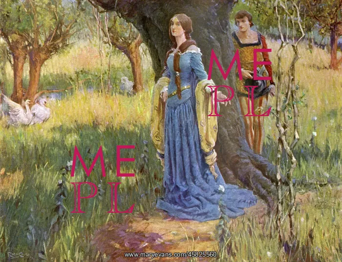  : MEDIEVAL COUPLE / MCCAIG