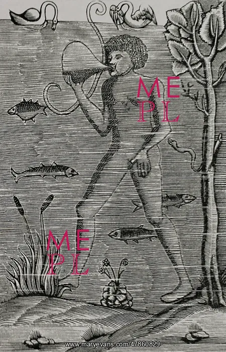 : Medieval diver using bladder to breath. Engraving : Medieval diver using bladder to breath. Engraving