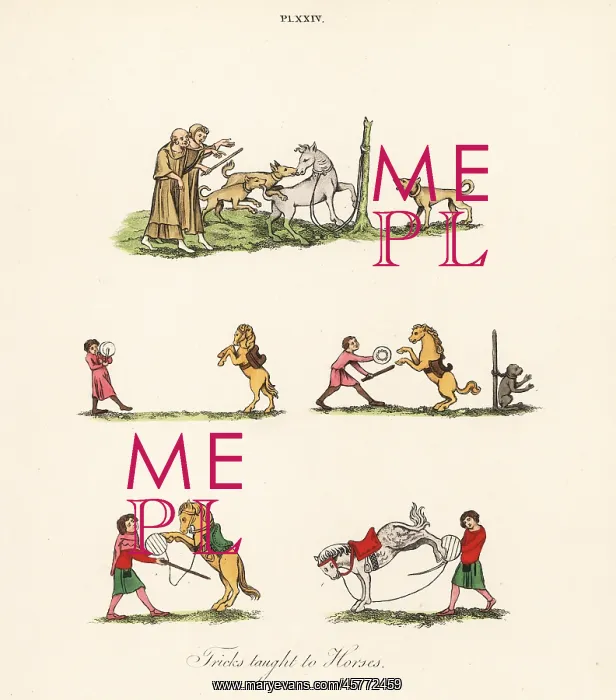 : Medieval entertainment with horses : Medieval entertainment with horses