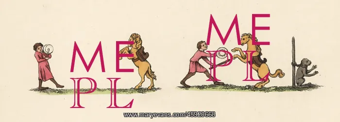: Medieval entertainment with horses : Medieval entertainment with horses