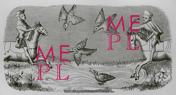 : Medieval falconers hunting ducks. Engraving after : Medieval falconers hunting ducks. Engraving after