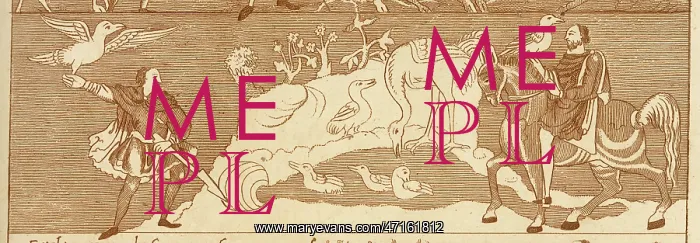  : Medieval falconry