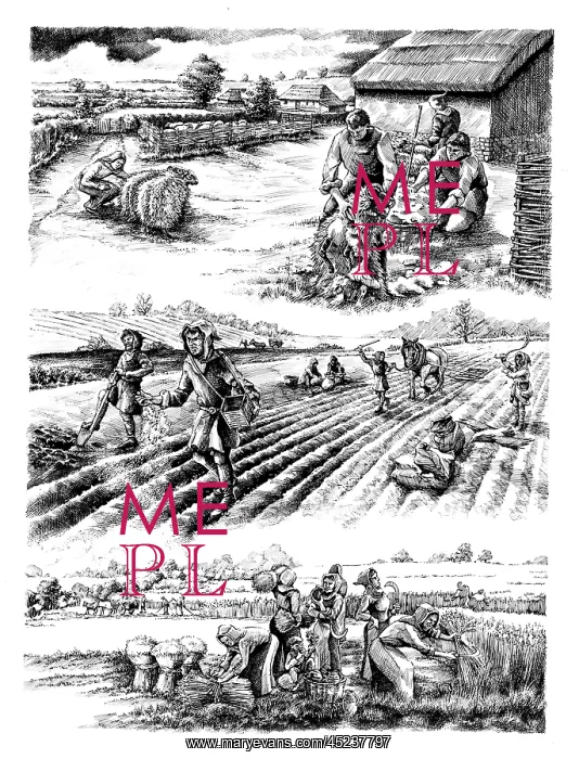 : Medieval farming : Medieval farming