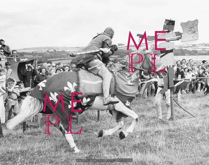 : Medieval jousting event, Cornwall : Medieval jousting event, Cornwall