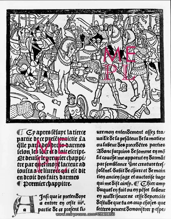: Medieval knights in battle, an illustration ? : Medieval knights in battle, an illustration ?