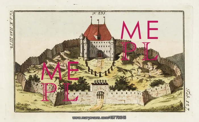 : Medieval knight's castle with tower and gate : Medieval knight's castle with tower and gate