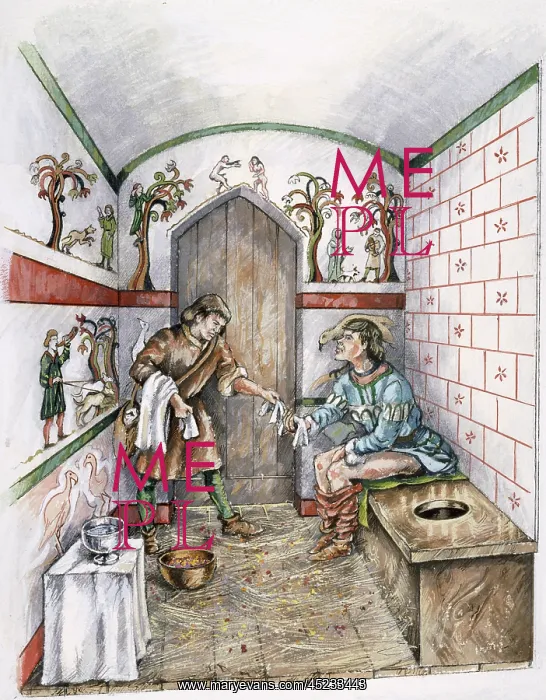 : Medieval latrine : Medieval latrine