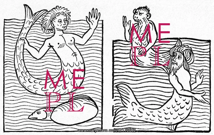 : Medieval Mer-Folk : Medieval Mer-Folk