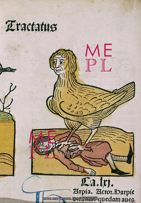 : A Medieval nightmare : A Medieval nightmare