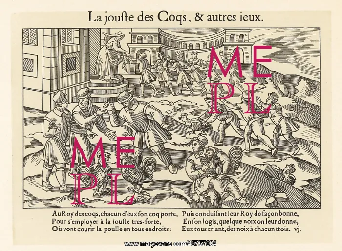 : Medieval peasants watching a cockfight : Medieval peasants watching a cockfight