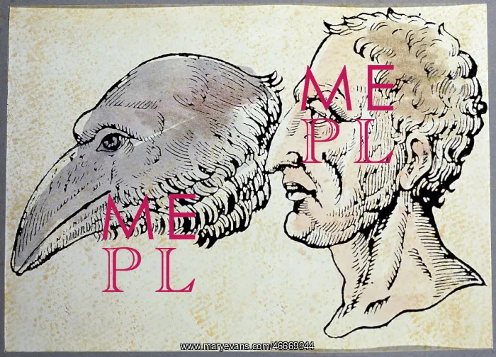 : Medieval physiognomy : Medieval physiognomy