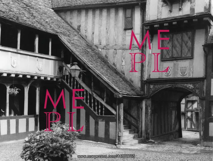 : MEDIEVAL STAIRCASE : MEDIEVAL STAIRCASE