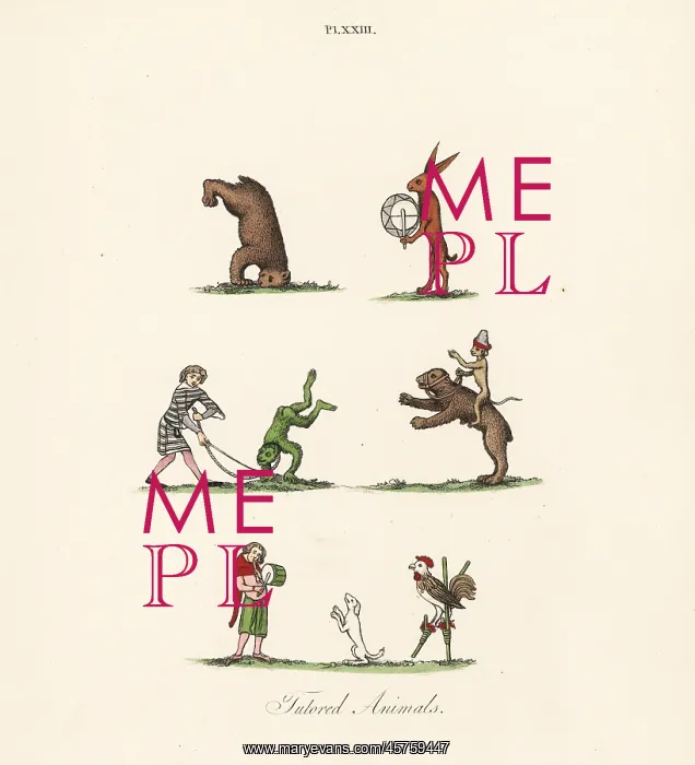 : Medieval trained animals : Medieval trained animals