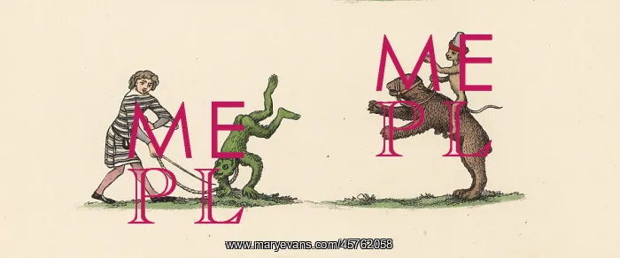 : Medieval trained animals : Medieval trained animals